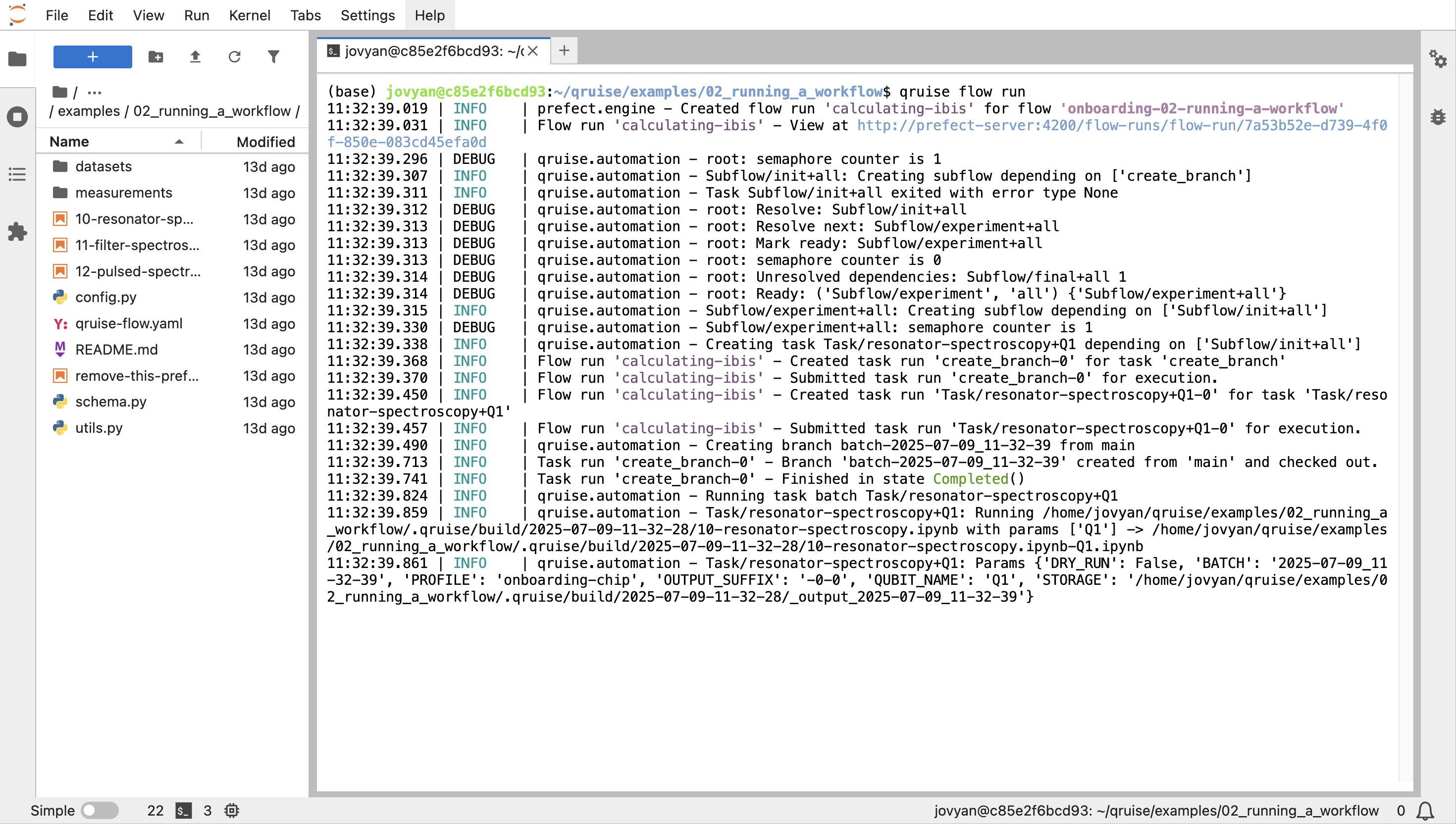 run workflow from terminal